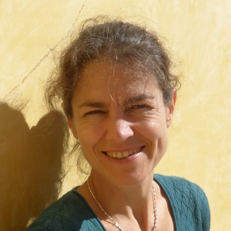 Tine Missine
